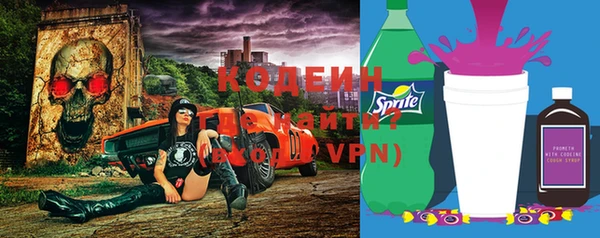 ГАЛЛЮЦИНОГЕННЫЕ ГРИБЫ Арсеньев