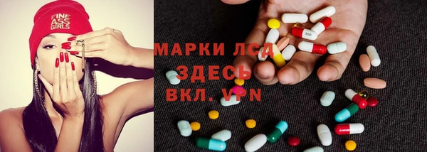 ГАЛЛЮЦИНОГЕННЫЕ ГРИБЫ Арсеньев